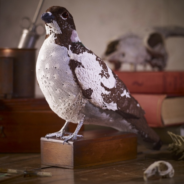 Текстильный таксидермист Донья Ковард фото