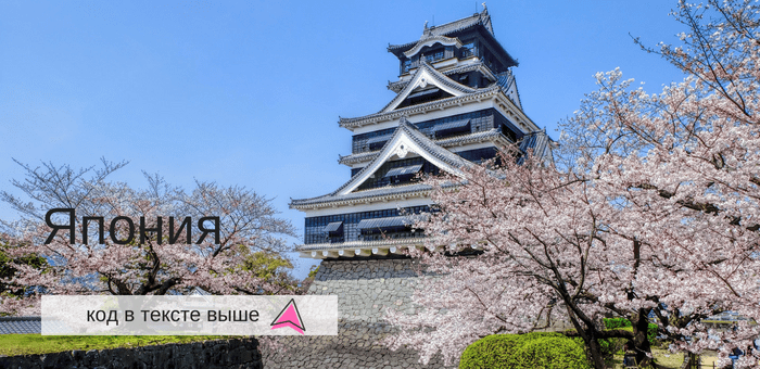 Новый Квест - "Блудный" чемодан! фото