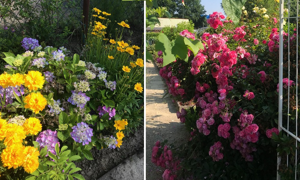 Солнечное окрашивание тканей фото