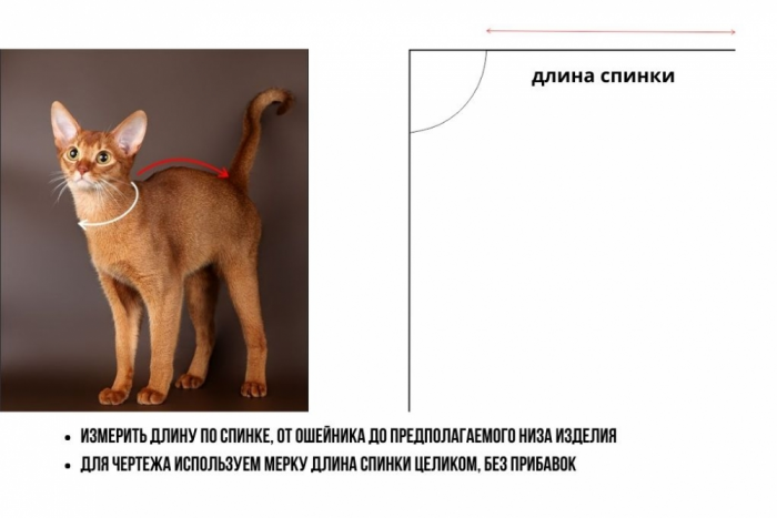 Выкройка свитшота для кота фото