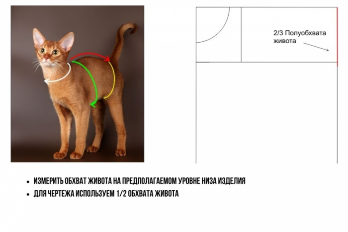 Выкройка свитшота для кота фото