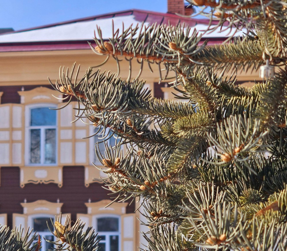 Узорные окна на одежде и в интерьере фото