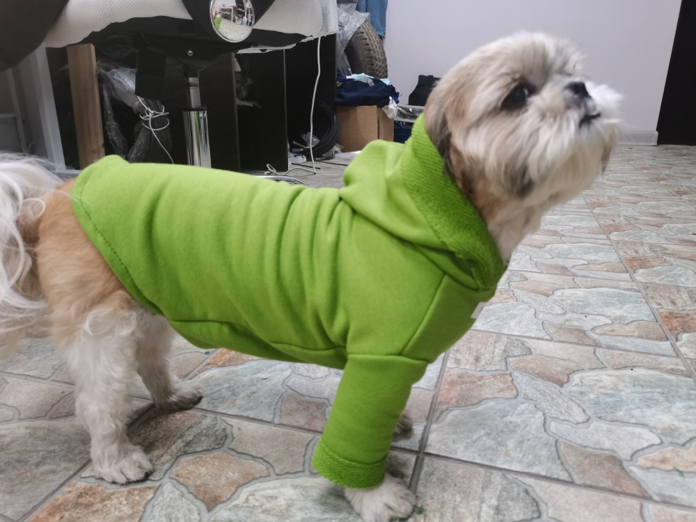 Свитшот для ши-тцу фото