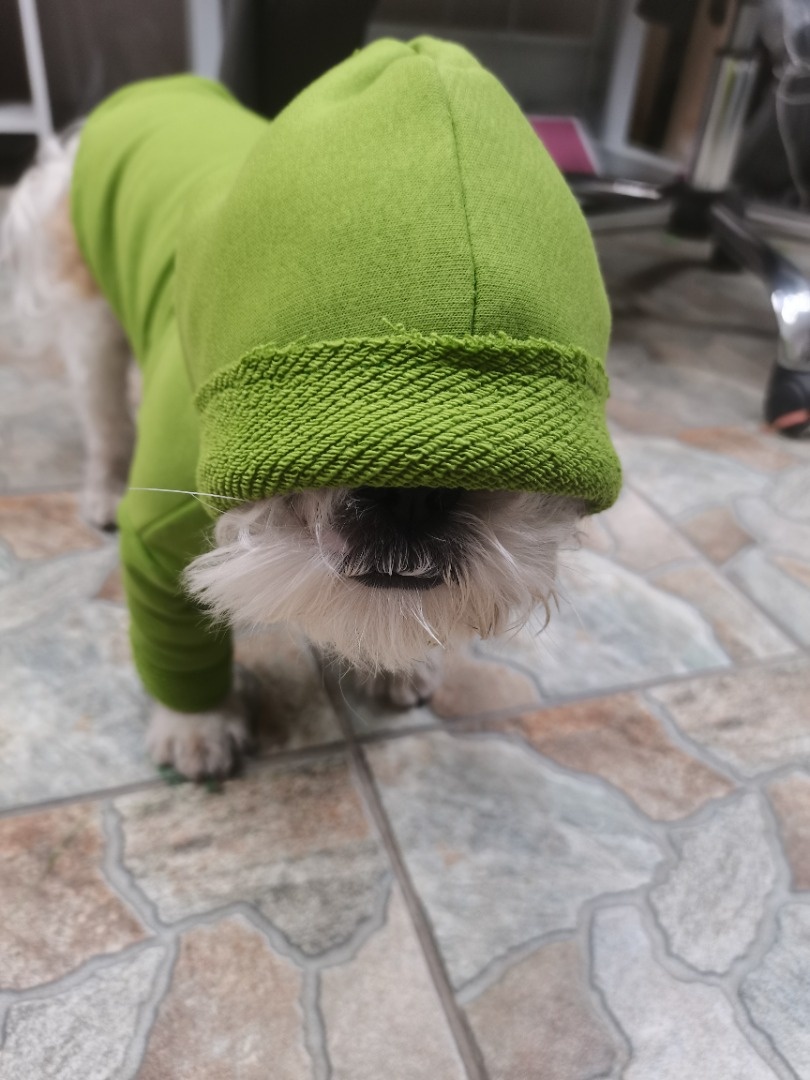 Свитшот для ши-тцу фото