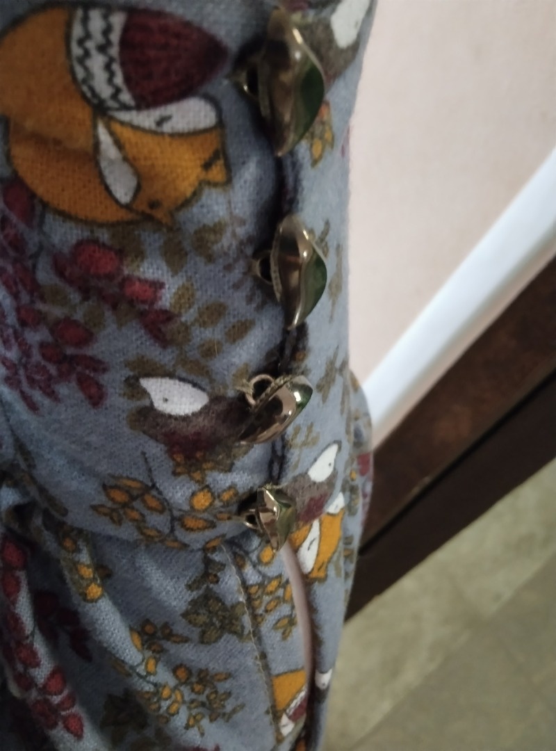 Похолодало, пришли лисички) фото