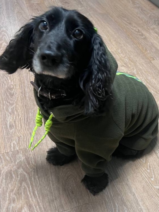 Худи для Марса