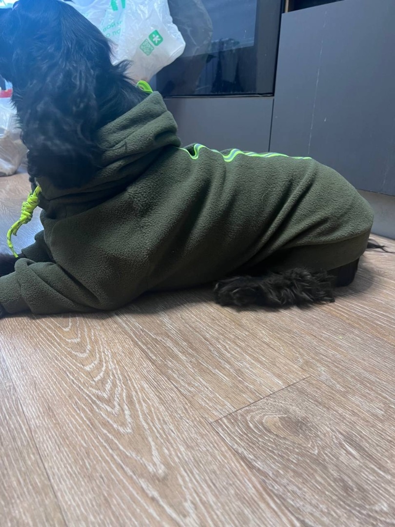 Худи для Марса фото