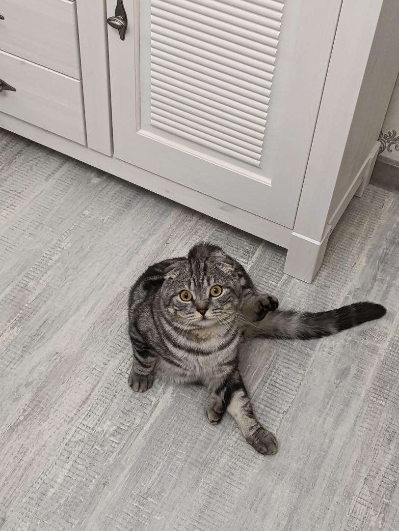 Рубашка-ветровка фото