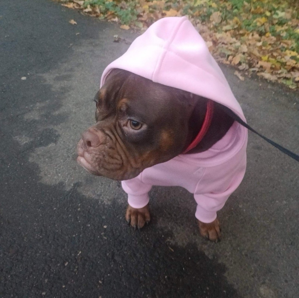 Худи для Луны фото