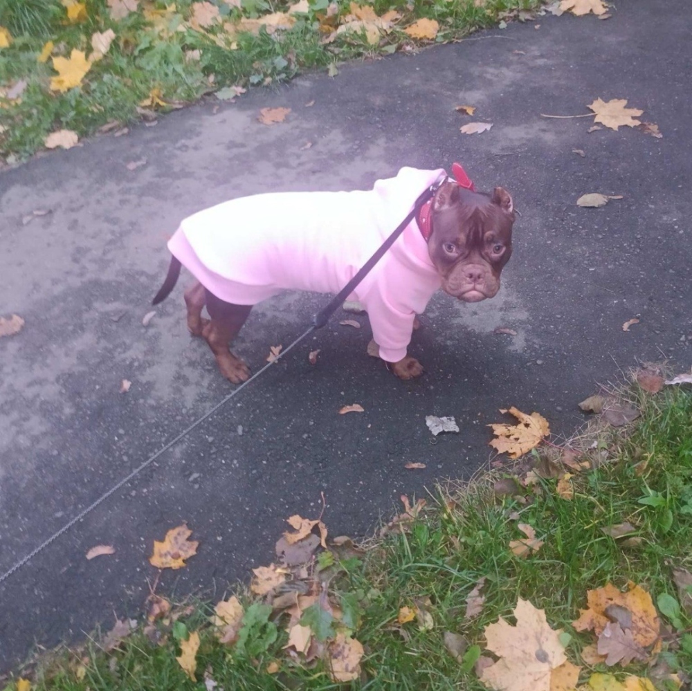 Худи для Луны фото