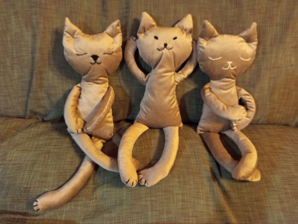 Кошки-сплюшки фото