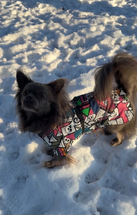 Теперь морозы не страшны