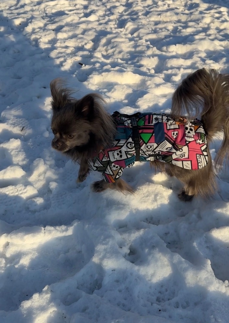 Теперь морозы не страшны фото